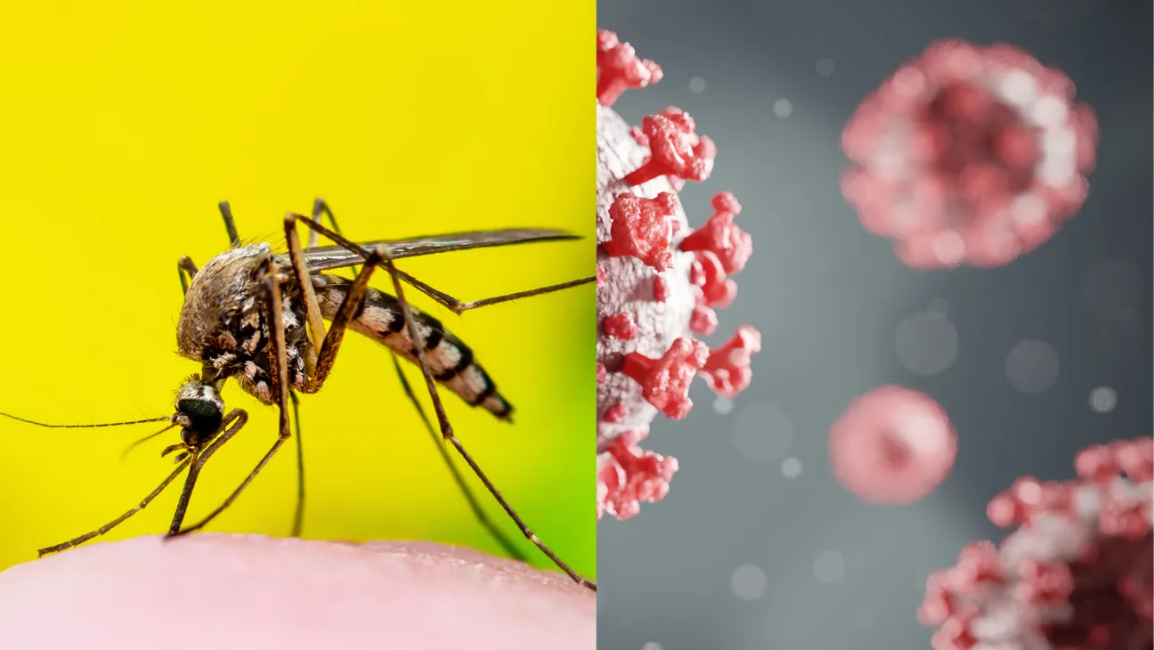 Bangladesh Confirms 5 New Deaths from COVID and Dengue, Urges Public Not to Panic