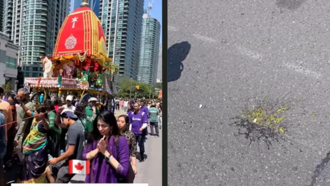 India Condemns Egg Attack on Rath Yatra in Toronto, Urges Canada to Act
