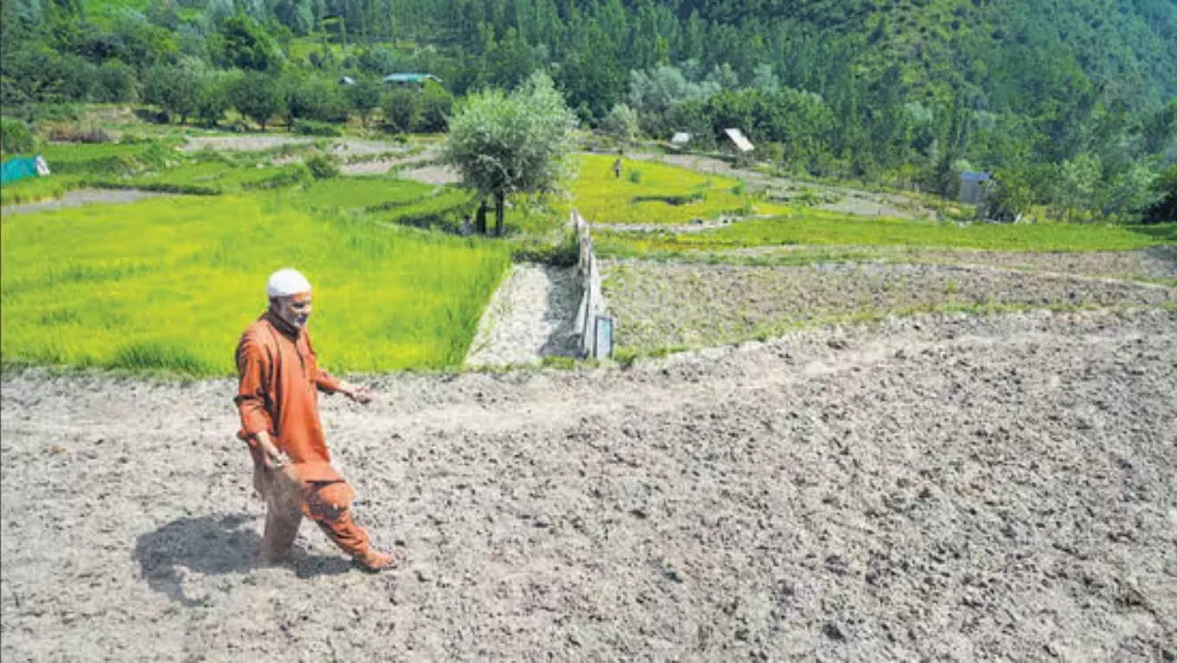 Kashmir Farmers Struggle Amid Water Crisis, Call for Revision of Indus Treaty