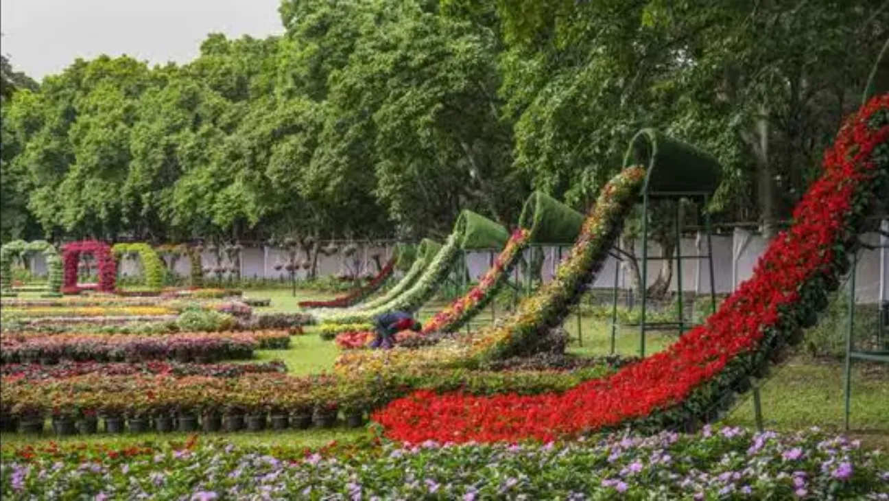 Bengaluru’s Monsoon Season Brings Cultural Bloom with Flower Shows, Textile Exhibits, and Thai Cuisine
