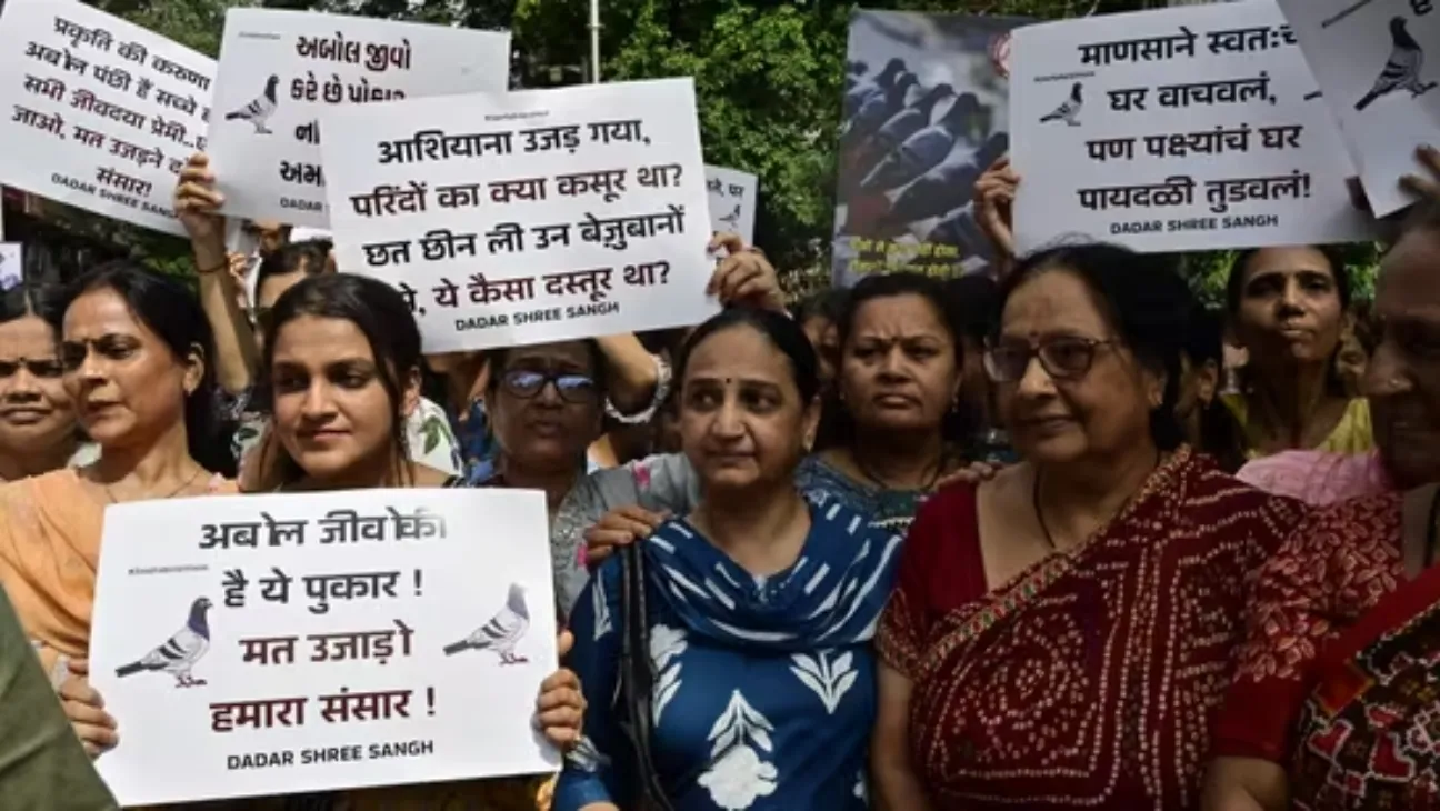 Mumbai Protest Over Pigeons as BMC Targets Feeding Spots Amid Health Concerns